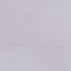 Meet your Posher, Leona